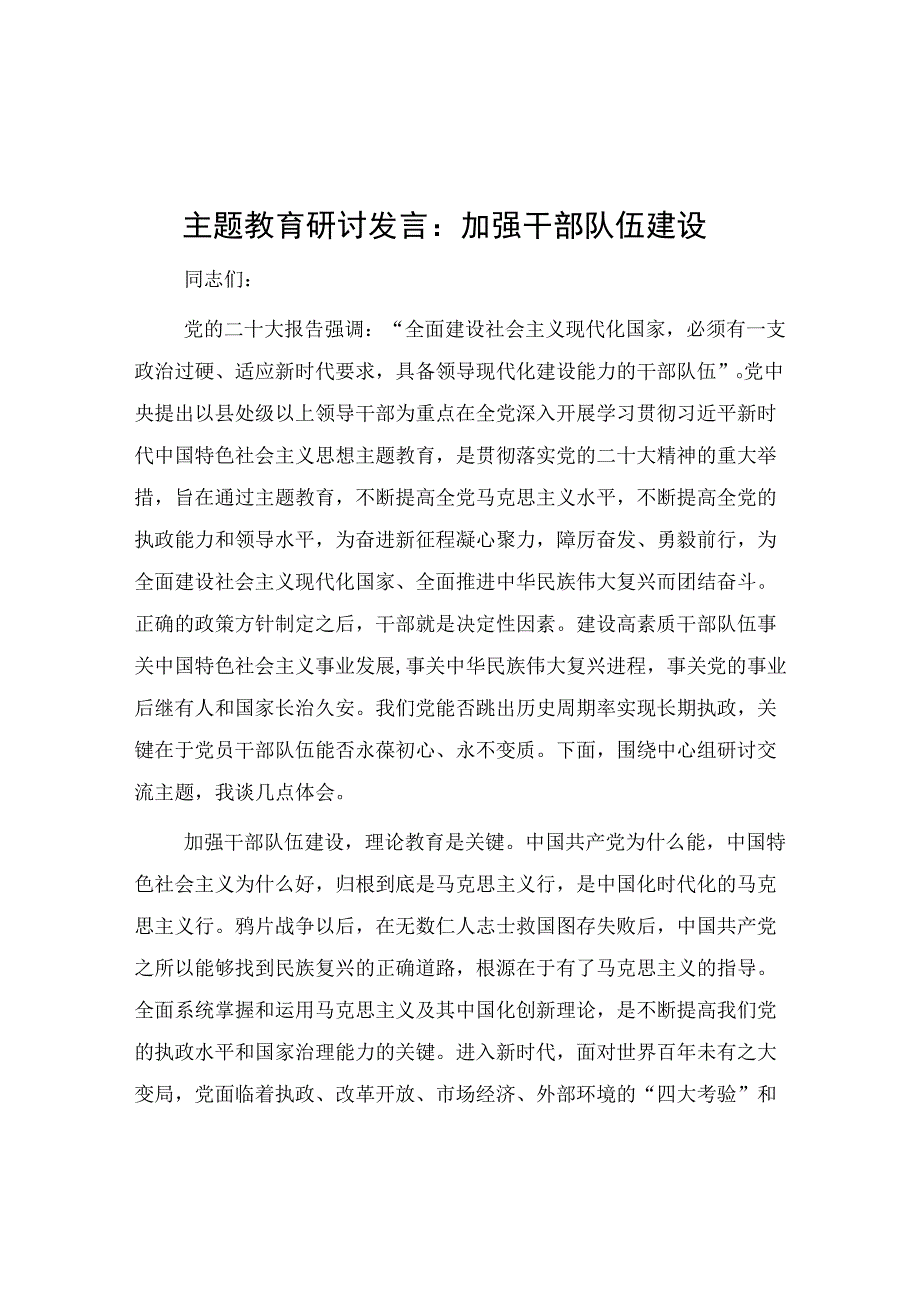 研讨发言：加强干部队伍建设（主题教育）.docx_第1页