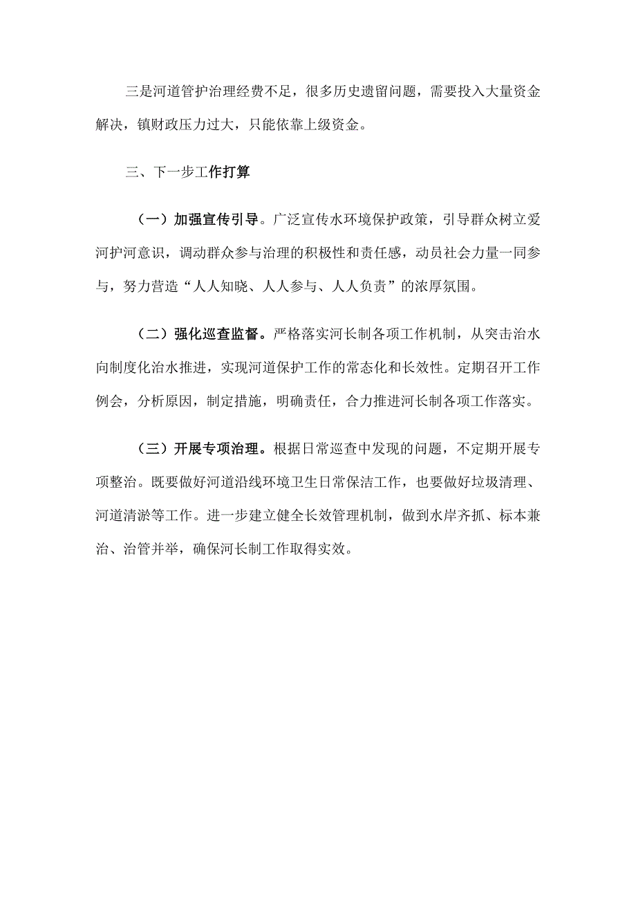 镇总河长述职报告.docx_第3页