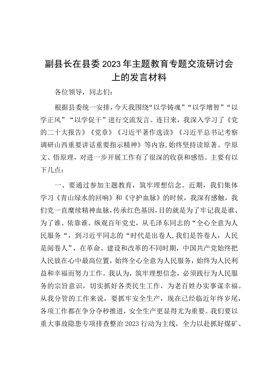 研讨发言：县委2023年主题教育专题交流发言材料（副县长）.docx_第1页