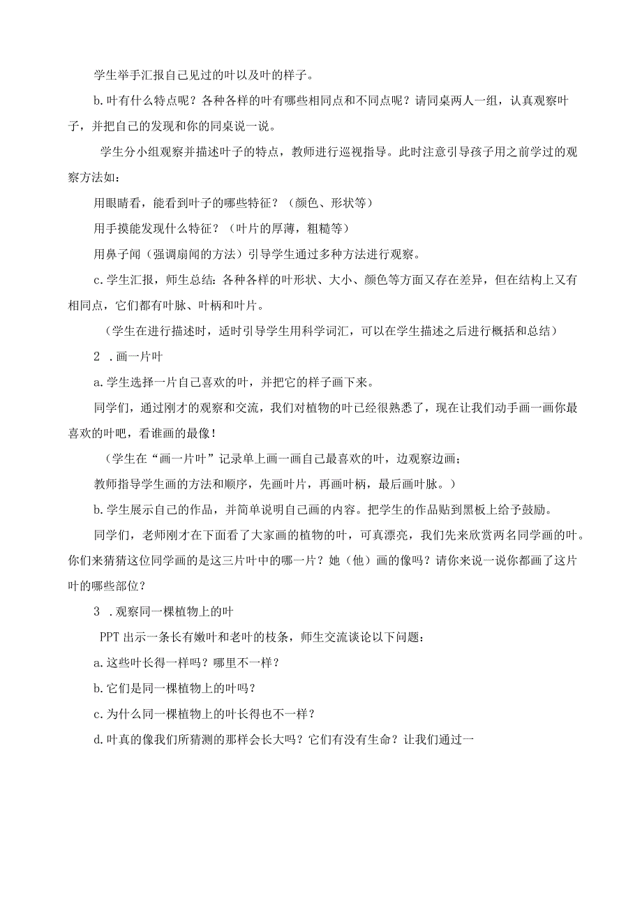 最新教科版一年级科学上册《观察叶》精品教案.docx_第3页