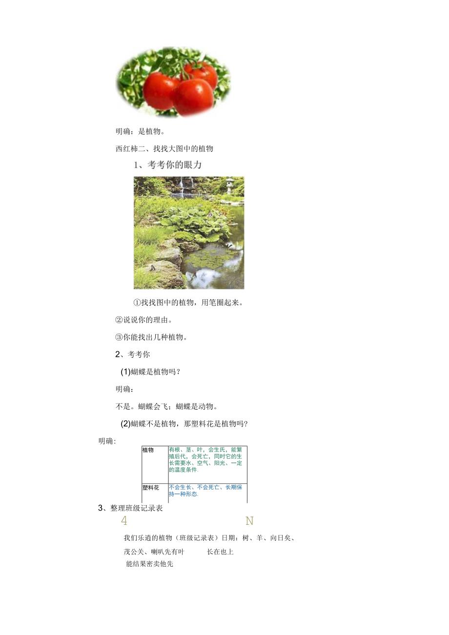 最新教科版一年级科学上册《我们知道的植物》精品教案.docx_第3页