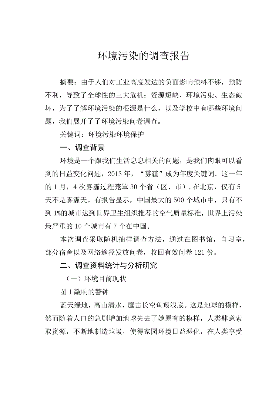 环境污染的调查报告.docx_第1页