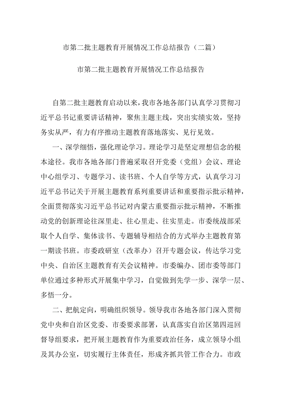 市第二批主题教育开展情况工作总结报告(二篇).docx_第1页