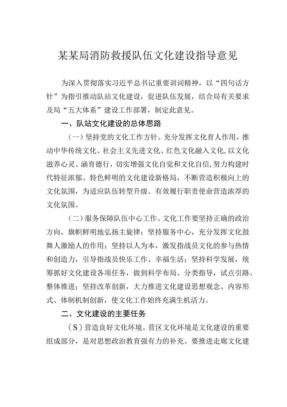 某某局消防救援队伍文化建设指导意见.docx_第1页