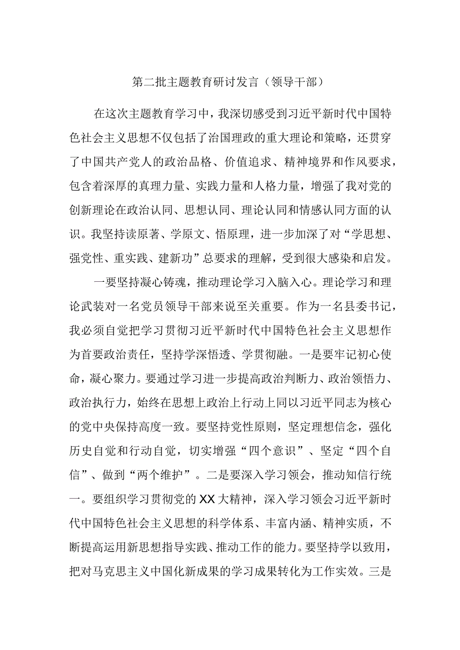 第二批主题教育研讨发言（领导干部）.docx_第1页