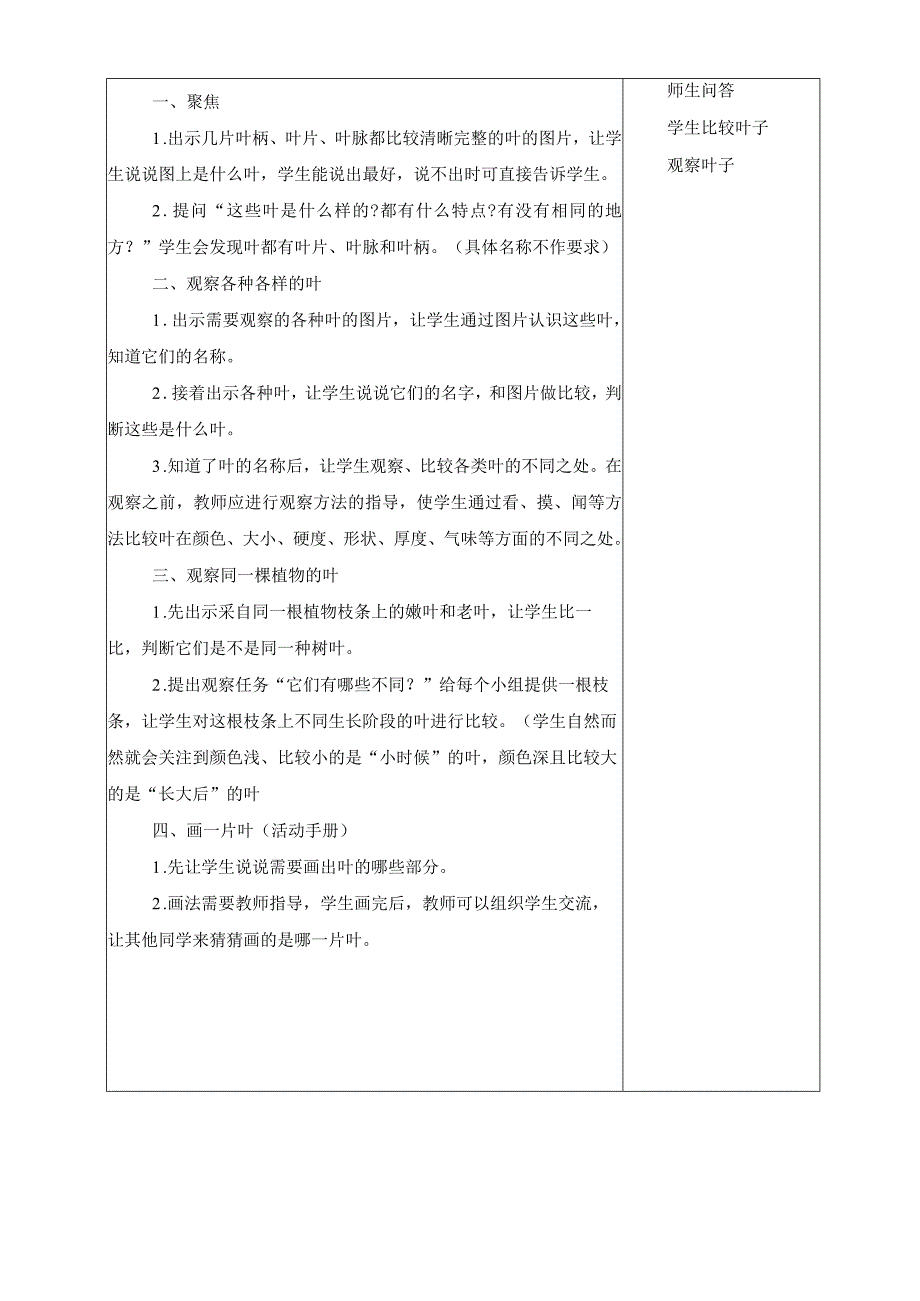 最新教科版一年级科学上册《观察叶》精品教学设计.docx_第2页