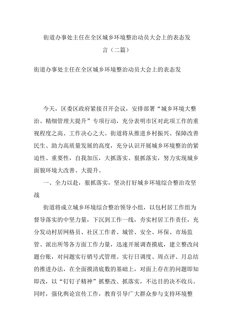 街道办事处主任在全区城乡环境整治动员大会上的表态发言(二篇).docx_第1页