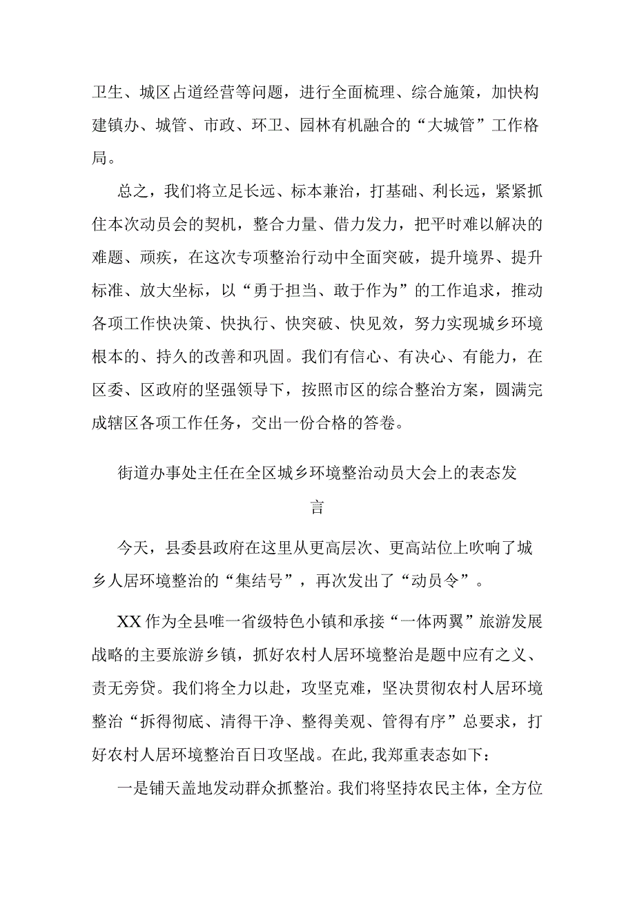 街道办事处主任在全区城乡环境整治动员大会上的表态发言(二篇).docx_第3页