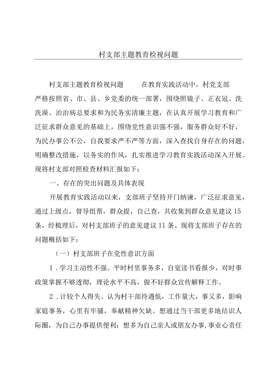 村支部主题教育检视问题.docx_第1页