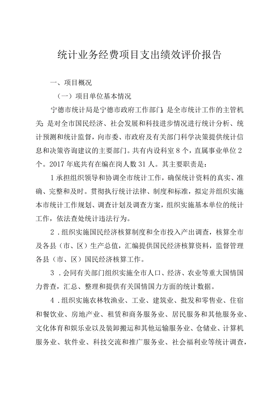 统计业务经费项目支出绩效评价报告.docx_第1页