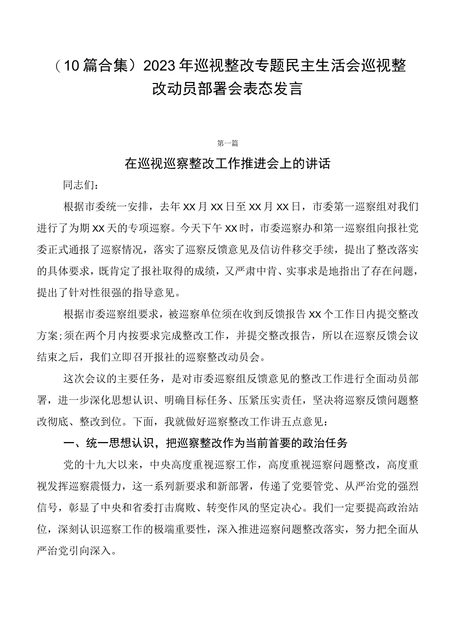 （10篇合集）2023年巡视整改专题民主生活会巡视整改动员部署会表态发言.docx_第1页