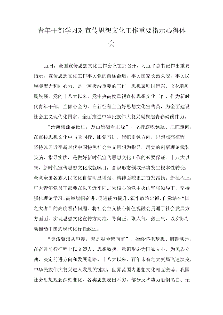 （5篇）青年干部学习对宣传思想文化工作重要指示心得体会（在2023年读书班上的研讨交流发言稿）.docx_第1页