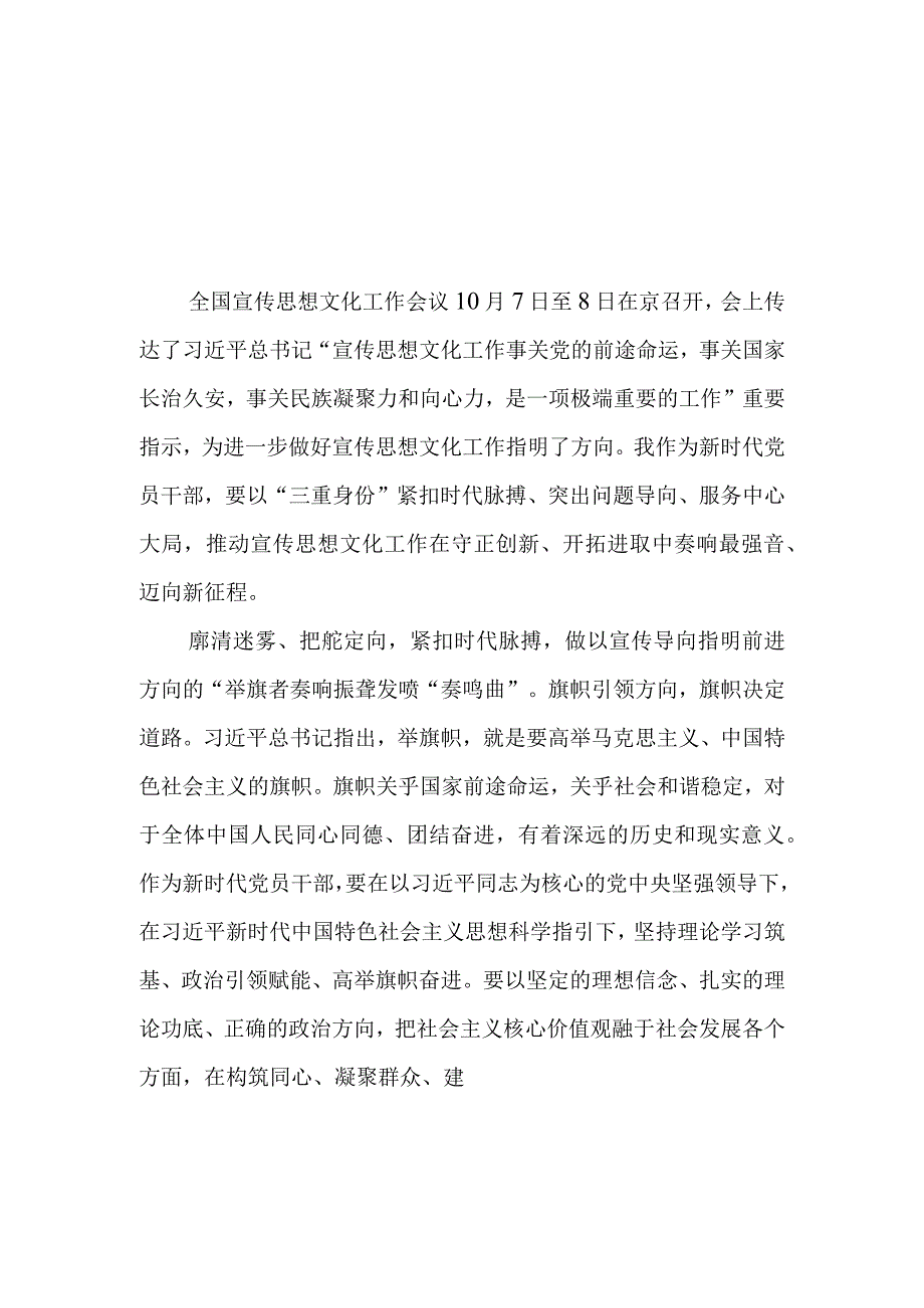 （10篇）2023学习领会贯彻关于对宣传思想文化工作重要指示心得体会.docx_第1页