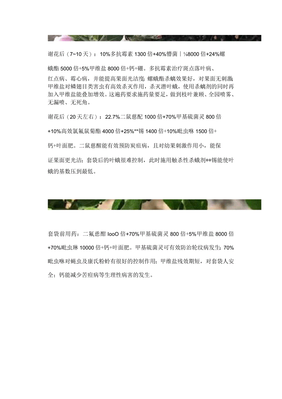 苹果园病虫害防治全年用药方案.docx_第2页