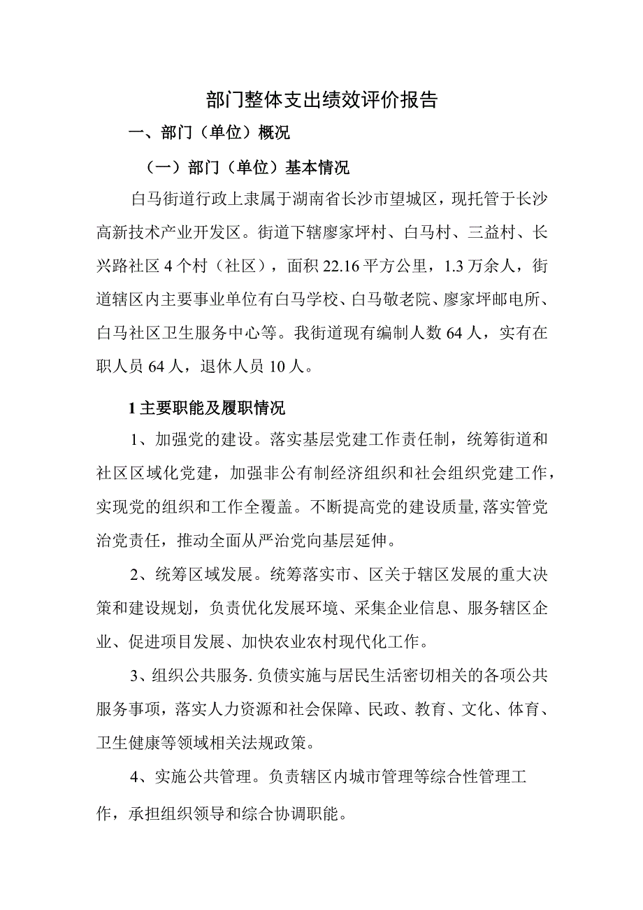 部门整体支出绩效评价报告.docx_第1页