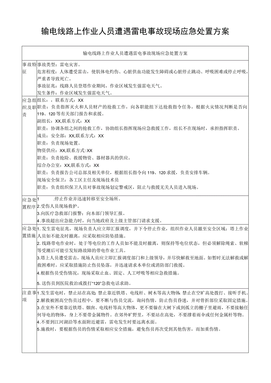 输电线路上作业人员遭遇雷电事故现场应急处置方案.docx_第1页