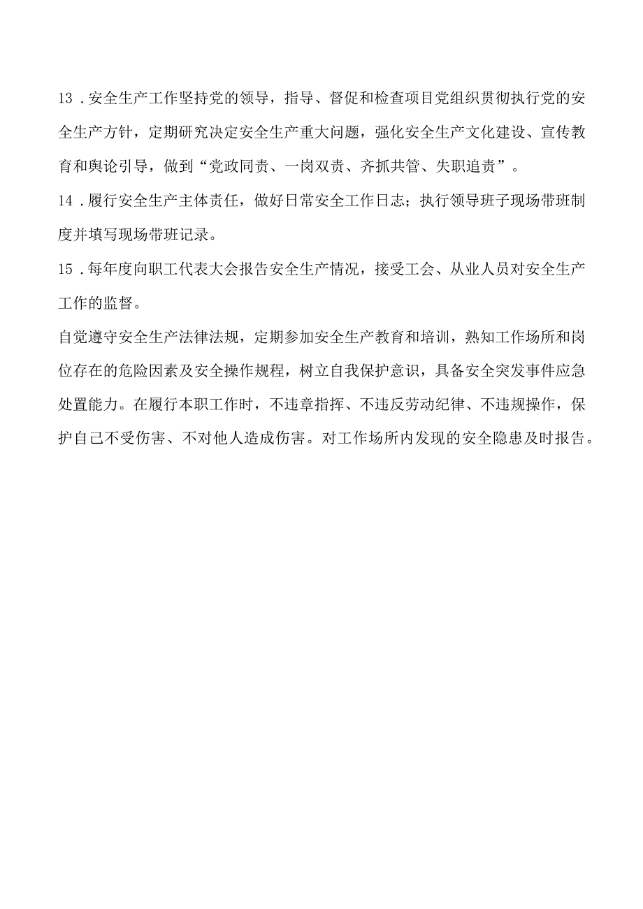 项目书记安全生产责任清单.docx_第2页