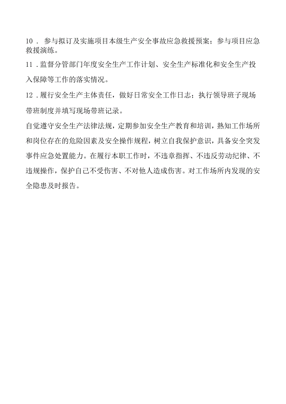 项目总工安全生产责任清单.docx_第2页