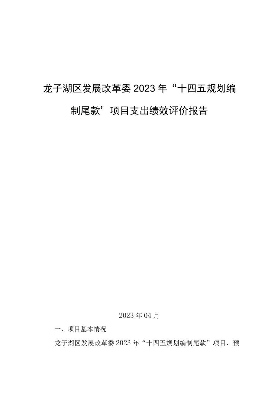 龙子湖区发展改革委2021年“十四五规划编制尾款”项目支出绩效评价报告.docx_第1页