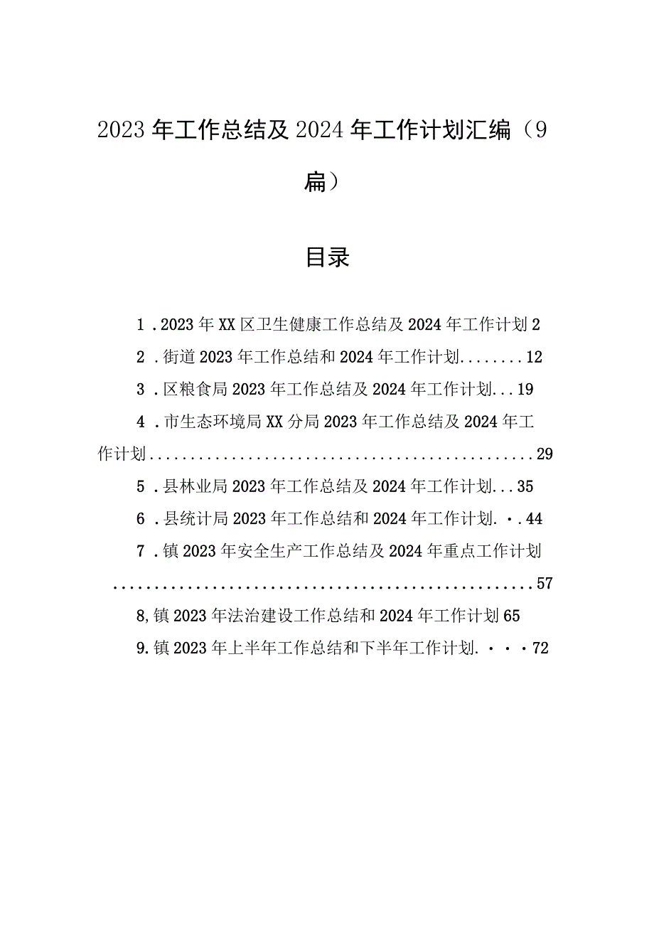 2023年工作总结及2024年工作计划汇编（9篇）.docx_第1页