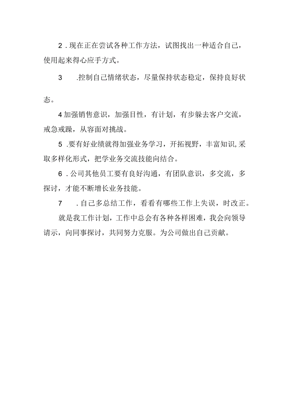 2024年公司销售工作计划(1).docx_第2页