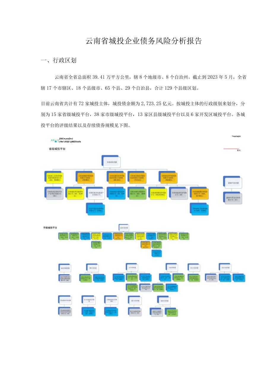 债务风险自评报告.docx_第1页