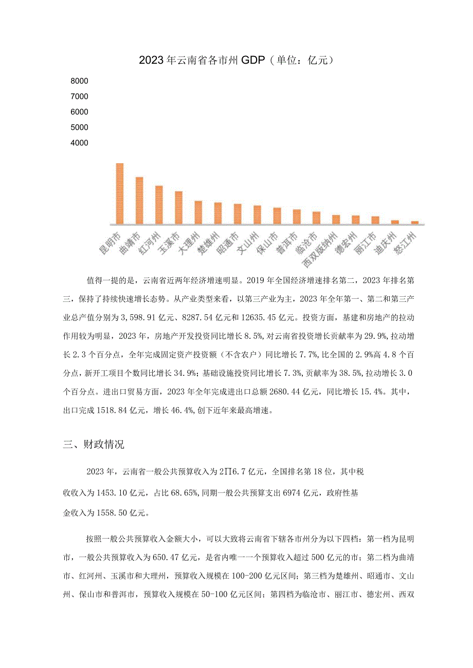 债务风险自评报告.docx_第3页