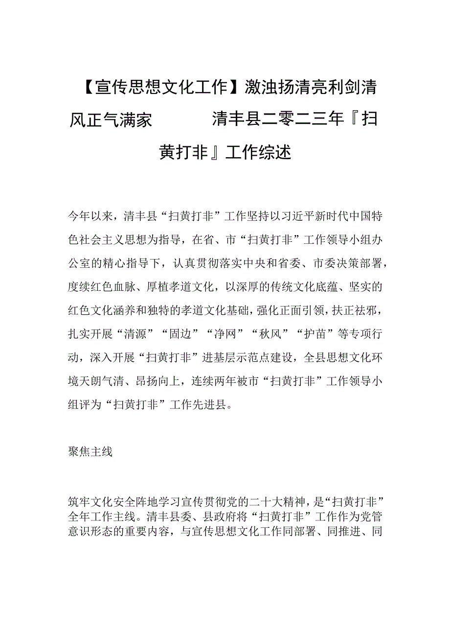 【宣传思想文化工作】激浊扬清亮利剑 清风正气满家园—— 清丰县二零二三年扫黄打非工作综述.docx_第1页