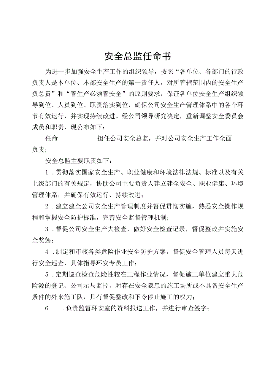 公司安全总监任命书范文.docx_第1页