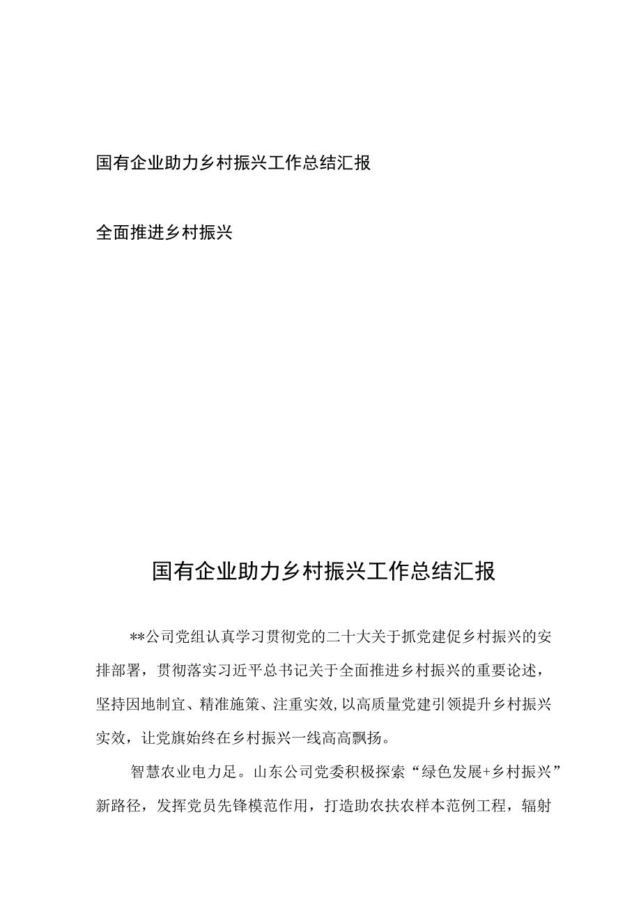 国有企业助力乡村振兴工作总结汇报和全面推进乡村振兴.docx_第1页