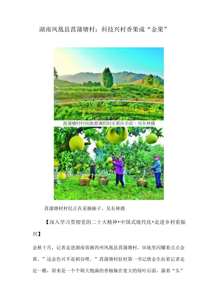 湖南凤凰县菖蒲塘村：科技兴村香果成“金果”.docx_第1页