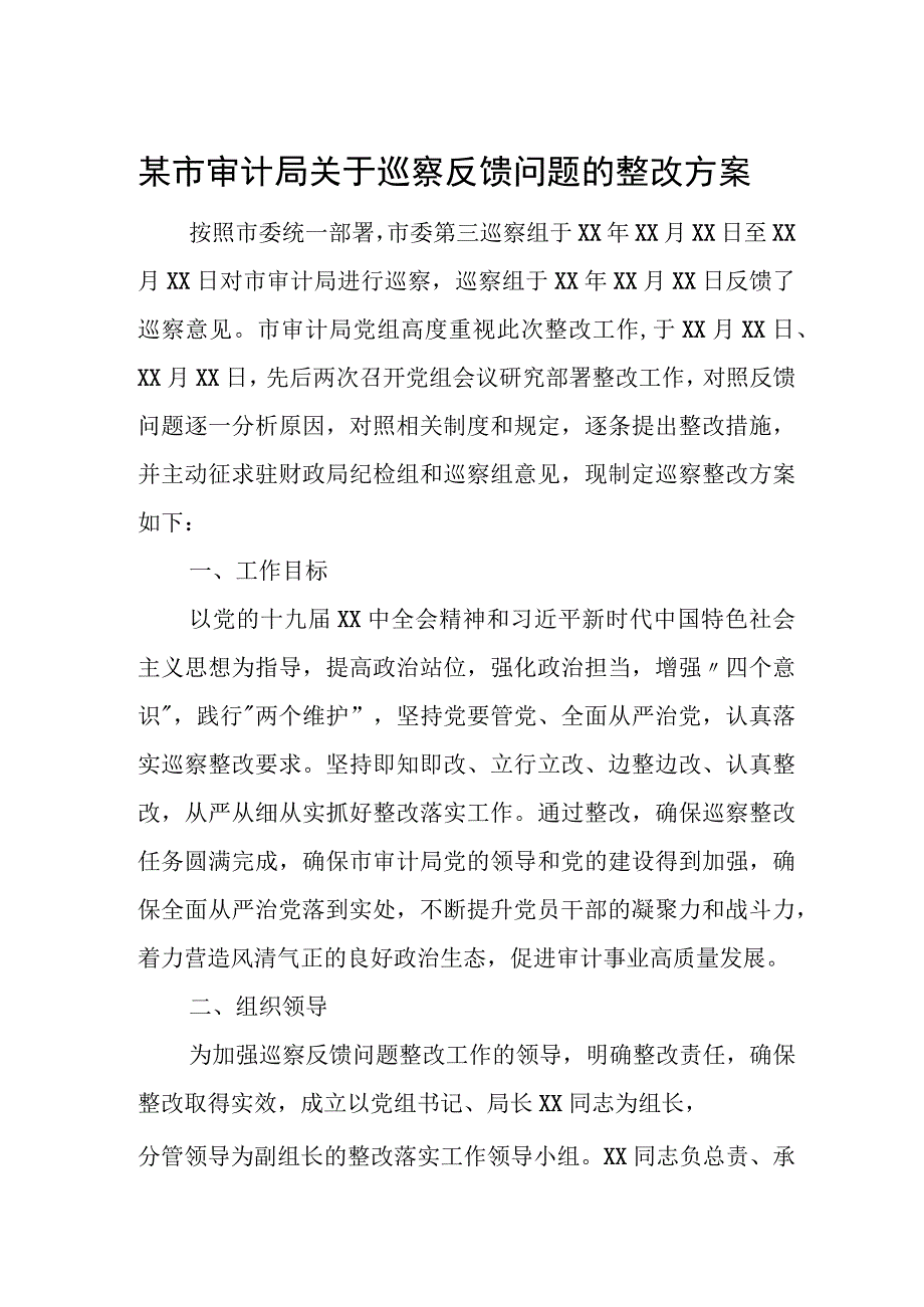 某市审计局关于巡察反馈问题的整改方案.docx_第1页