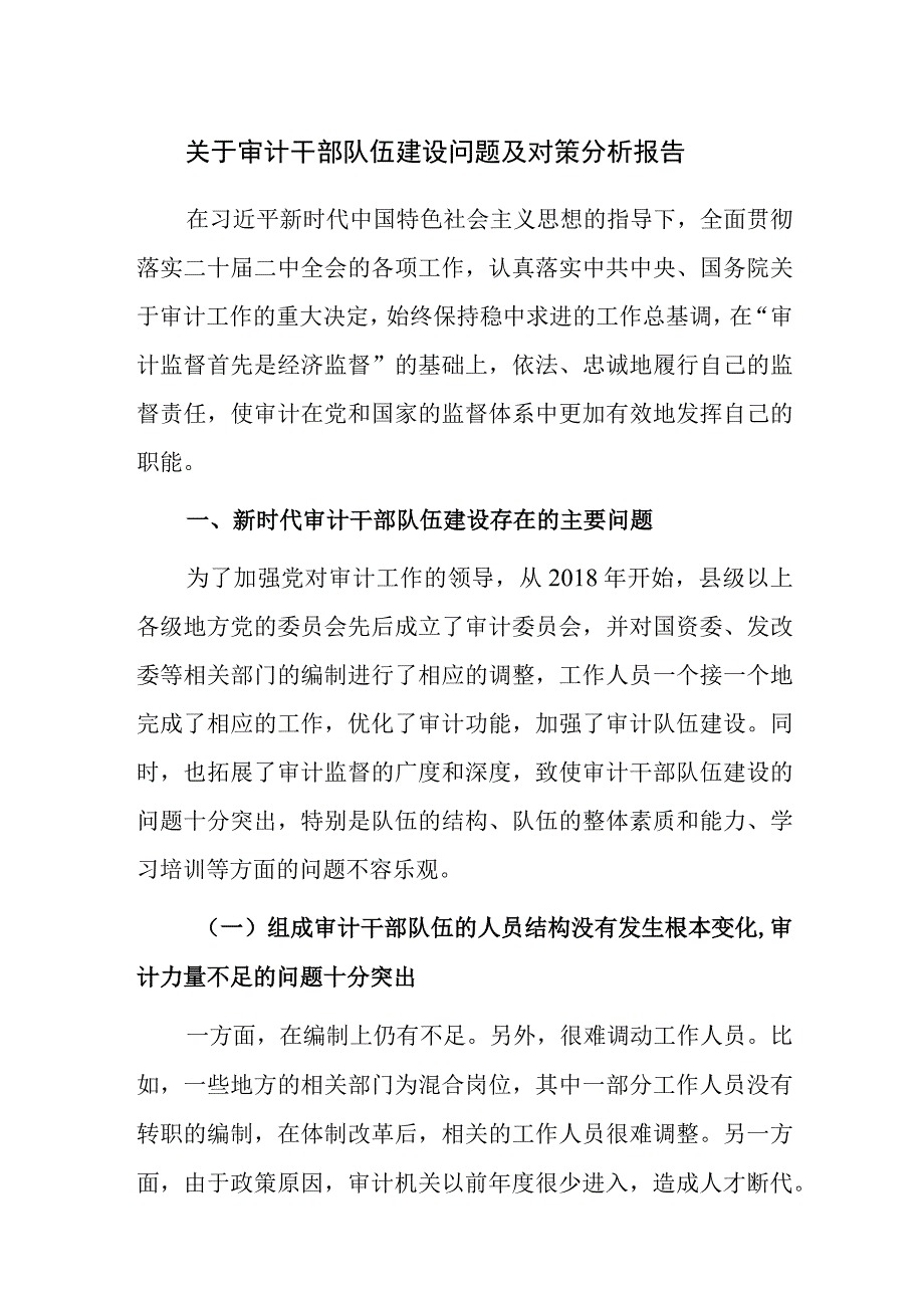 关于审计干部队伍建设问题及对策分析报告范文.docx_第1页