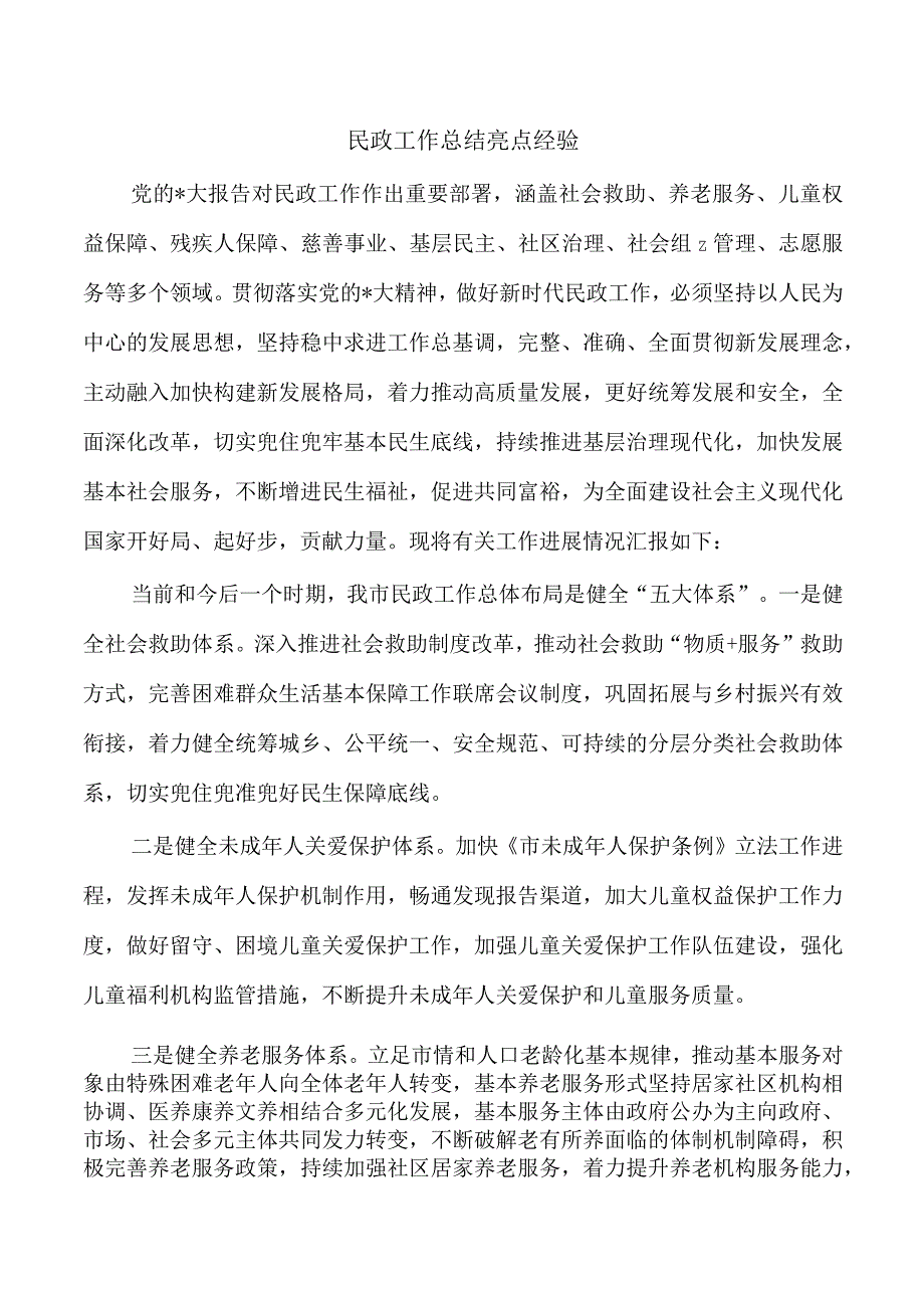 民政工作总结亮点经验.docx_第1页