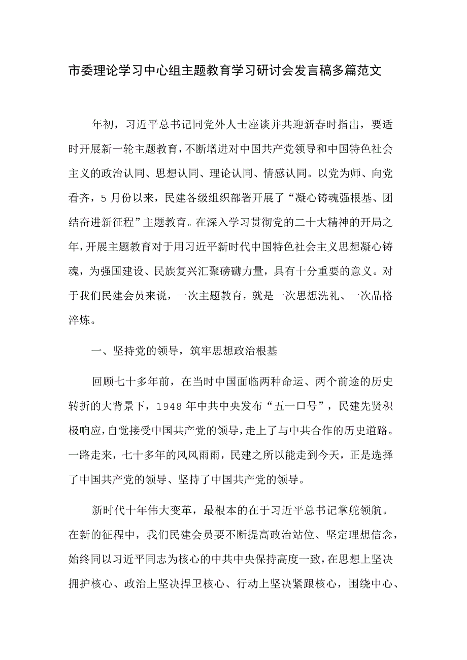 市委理论学习中心组主题教育学习研讨会发言稿多篇范文.docx_第1页