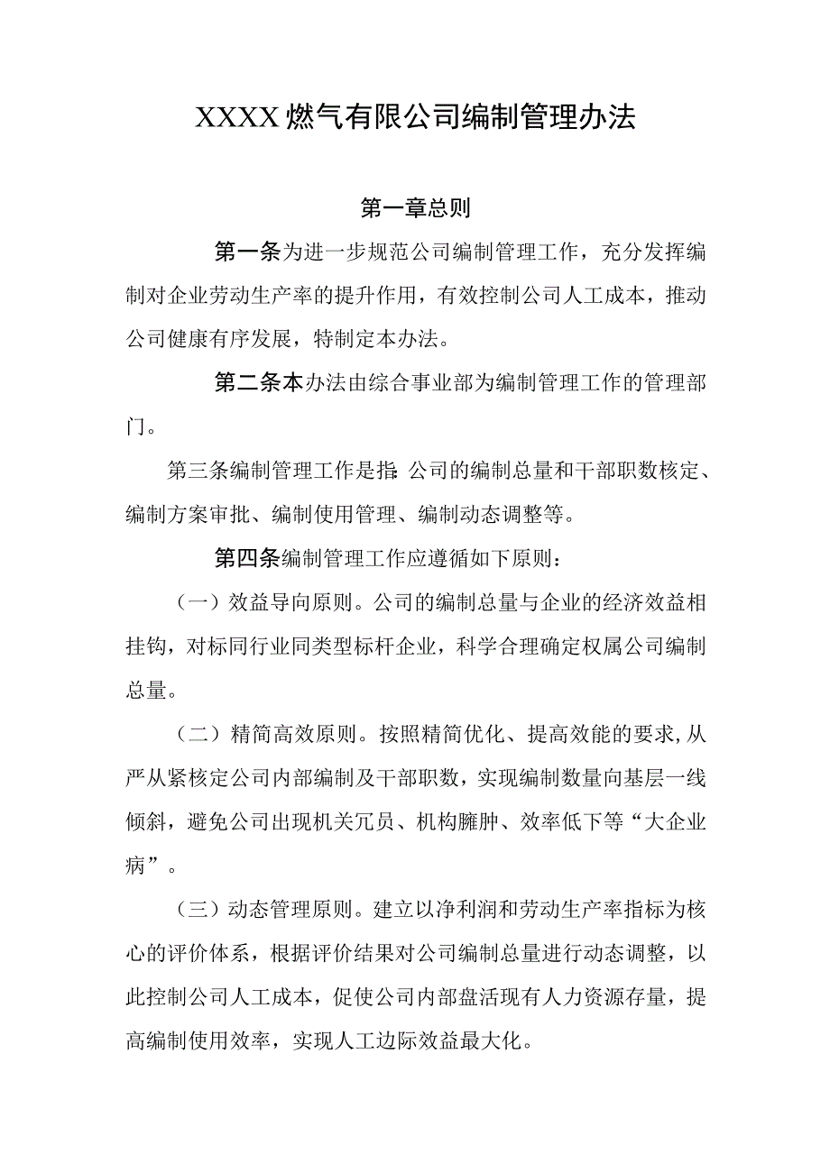 燃气有限公司编制管理办法.docx_第1页