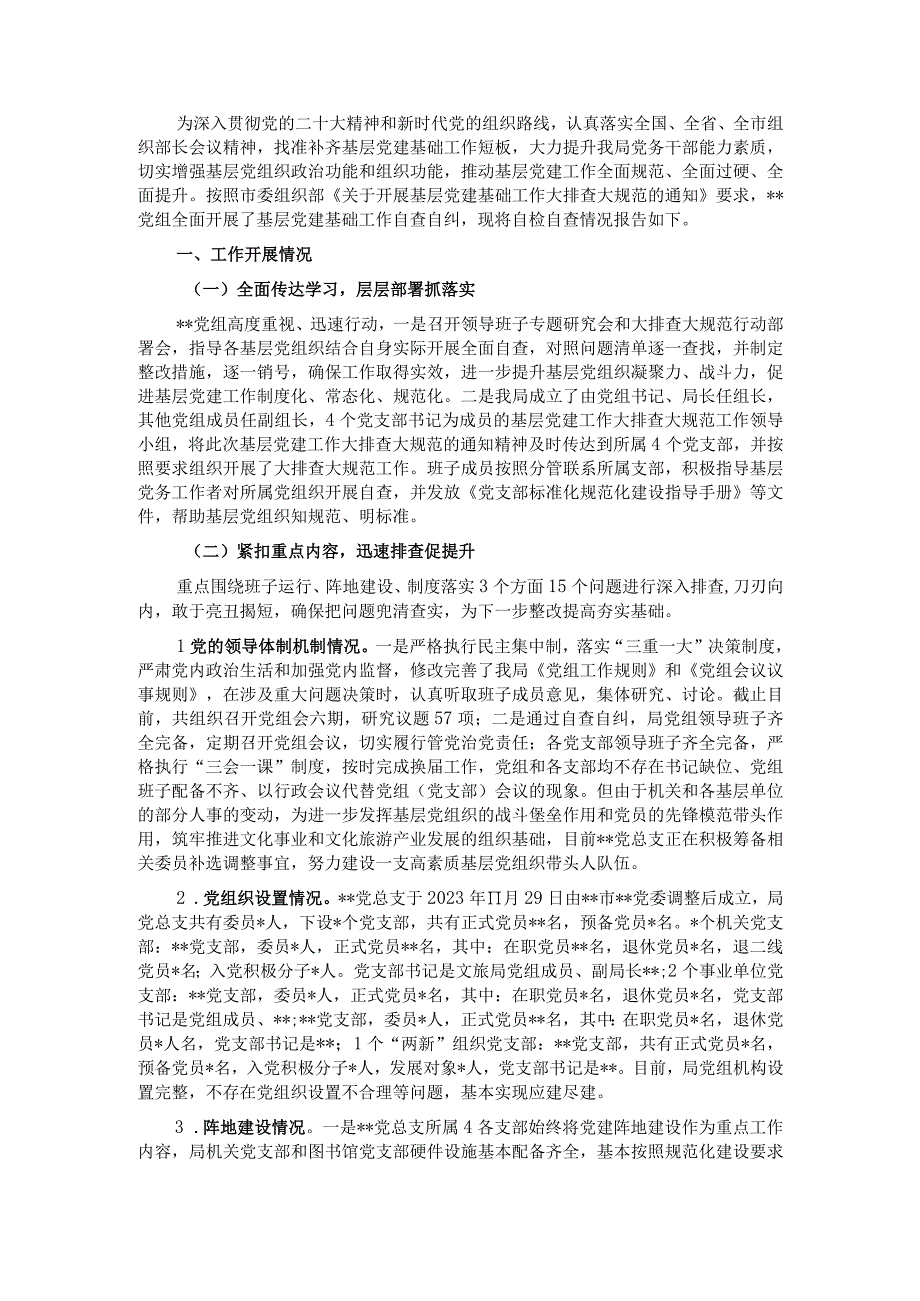 局党建基础工作大排查大规范自检自查报告.docx_第1页