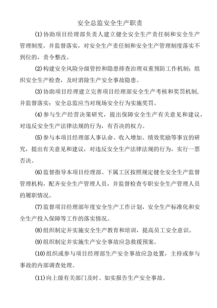 安全总监安全生产职责.docx_第1页