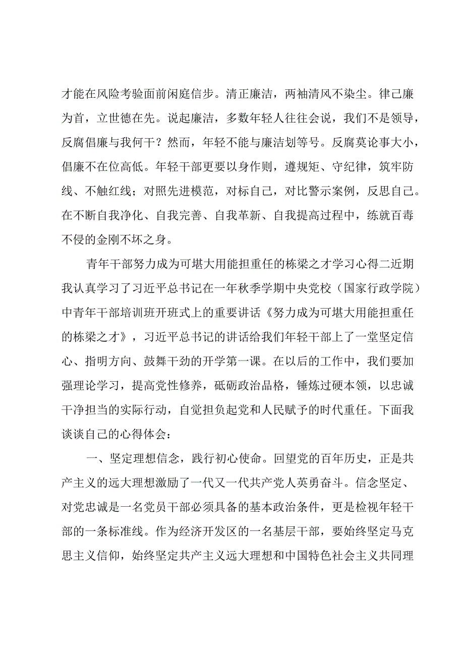 青年干部努力成为可堪大用能担重任的栋梁之才学习心得多篇.docx_第3页