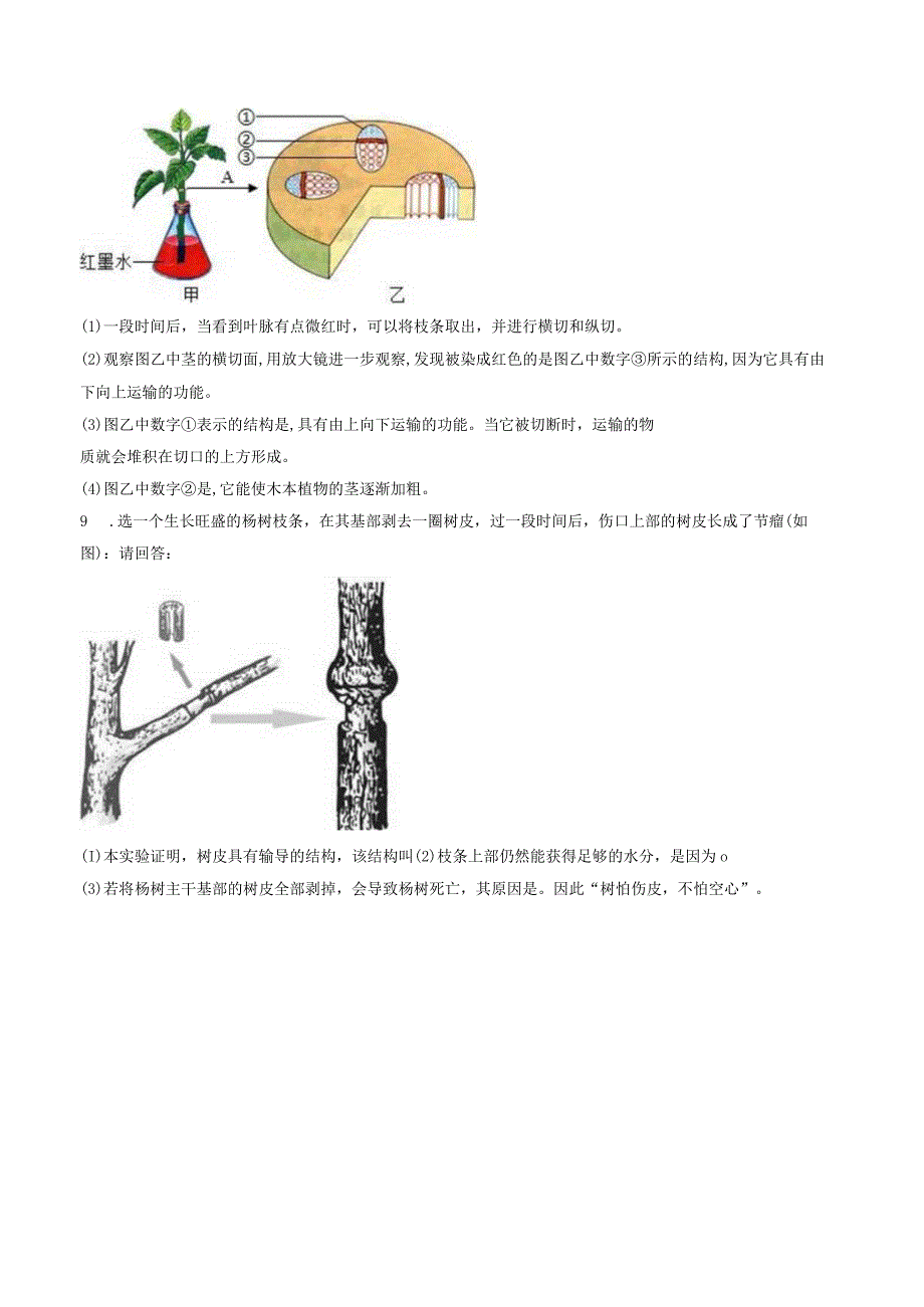 苏教版七年级上册《3.5.4 植物茎的输导功能》2023年同步练习卷（3）（附答案详解）.docx_第2页