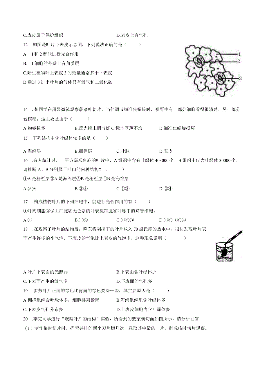 苏教版七年级上册《3.6.2 植物光合作用的场所》2023年同步练习卷（3）（附答案详解）.docx_第2页