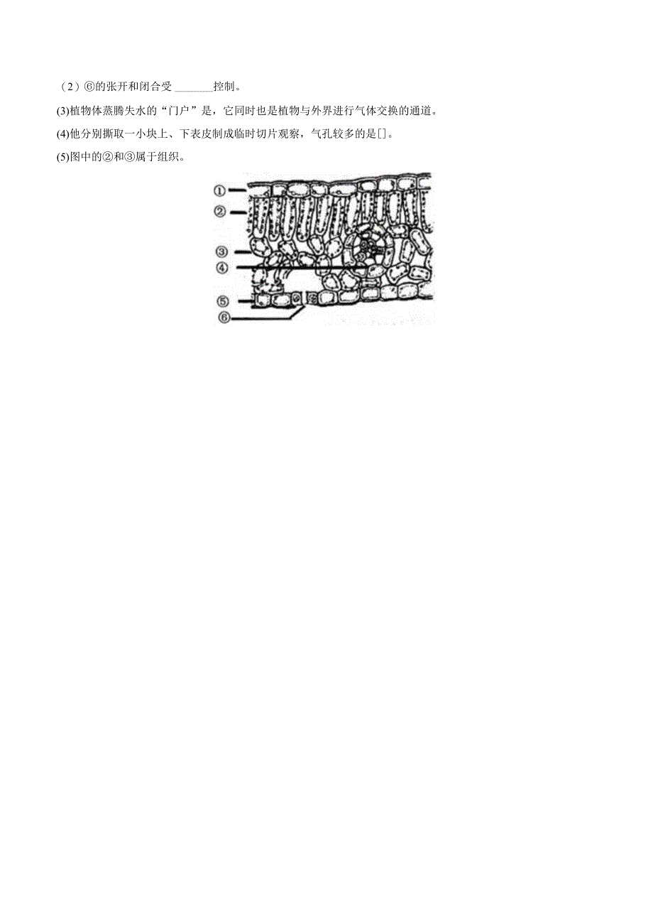 苏教版七年级上册《3.6.2 植物光合作用的场所》2023年同步练习卷（3）（附答案详解）.docx_第3页