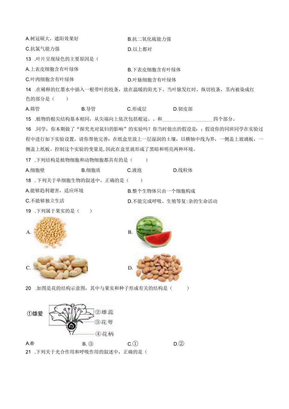 苏教版七年级上册《期末检测卷（一）》2023年单元测试卷（附答案详解）.docx_第2页