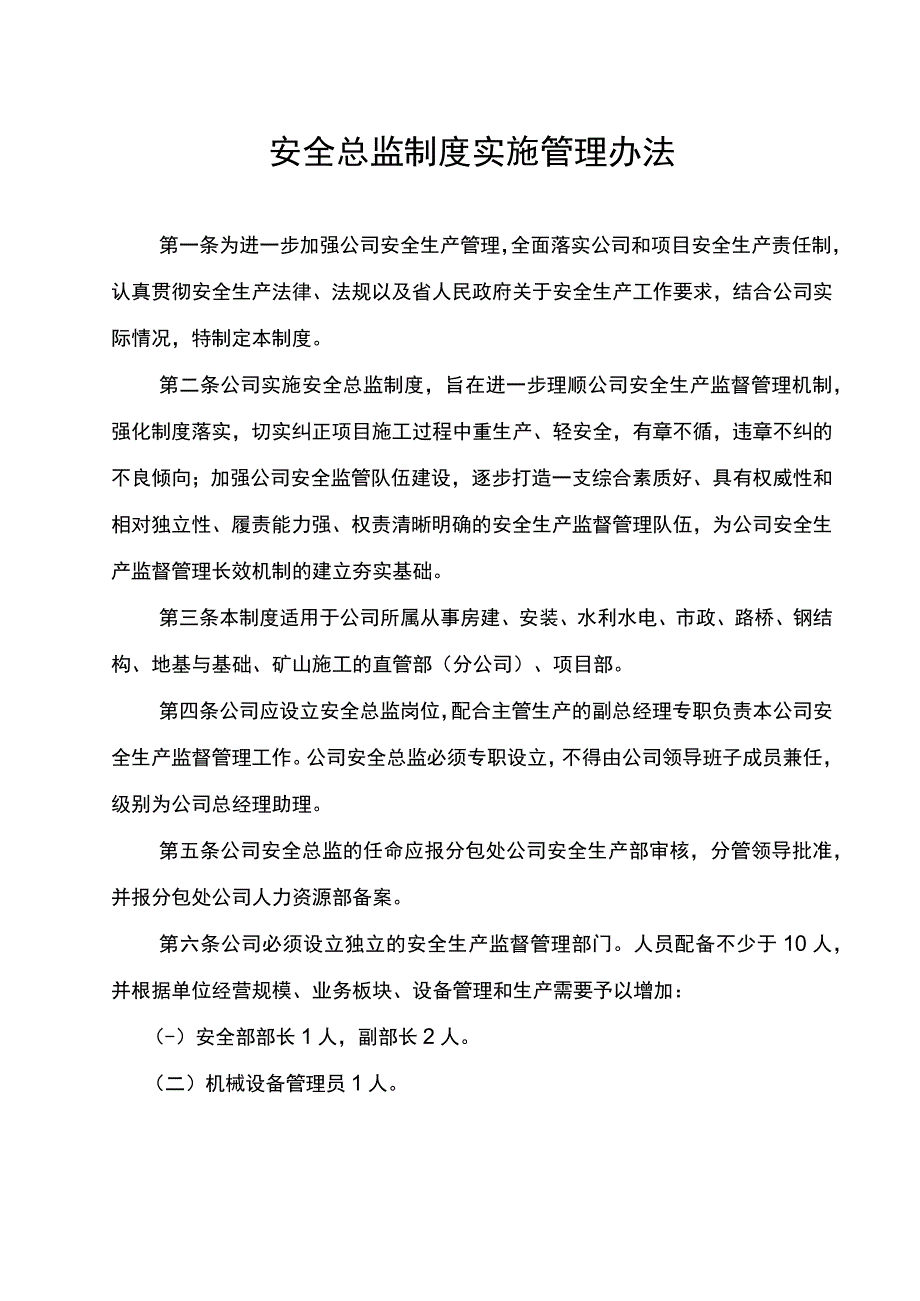 集团公司安全总监制度实施管理办法范文.docx_第1页