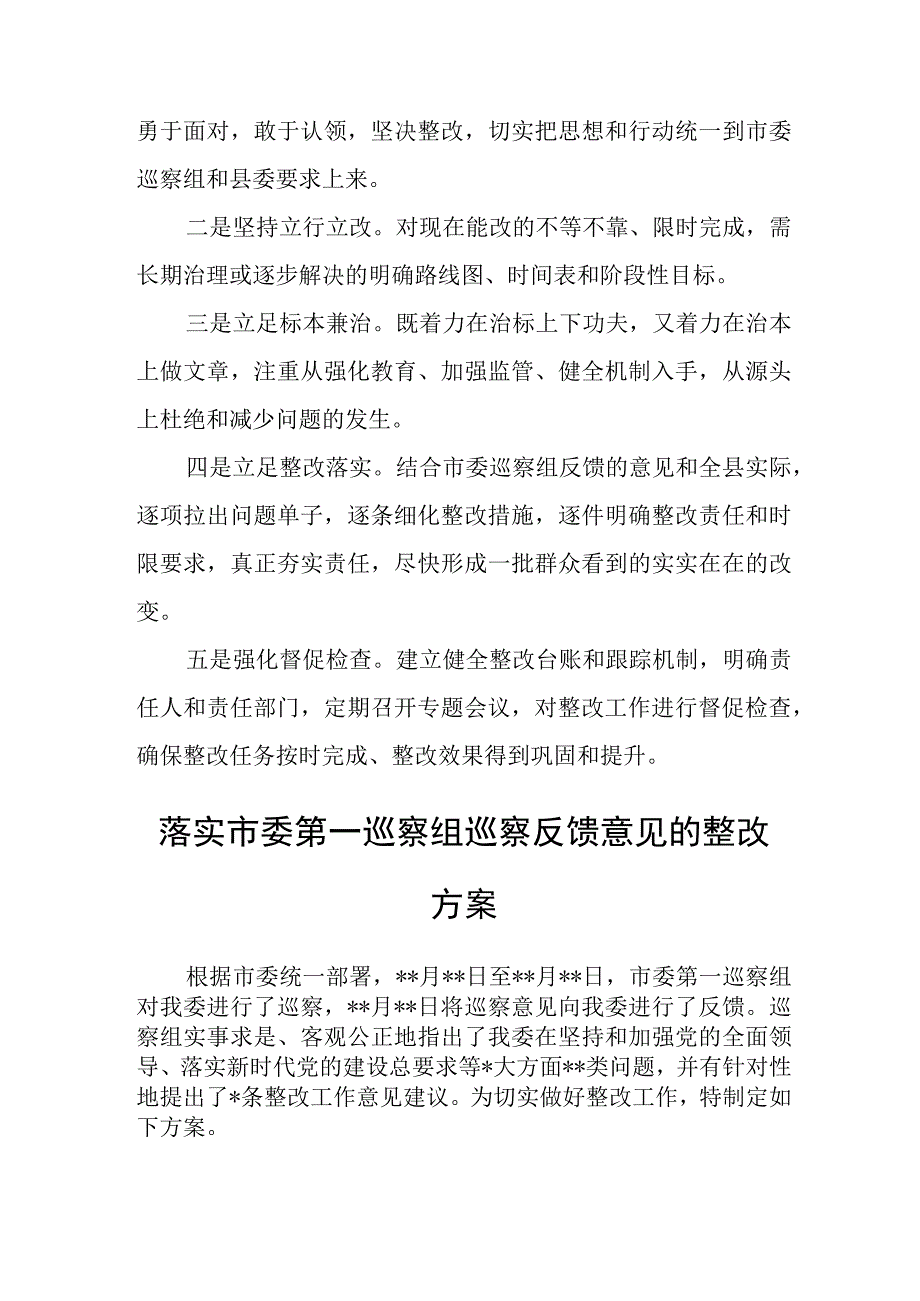 某市委巡察反馈意见整改落实方案.docx_第2页