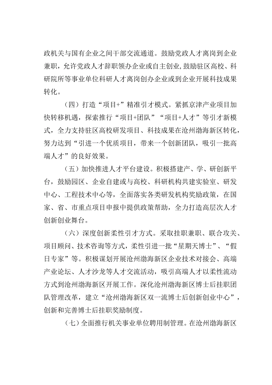 某某新区关于进一步加强人才队伍建设的意见.docx_第2页