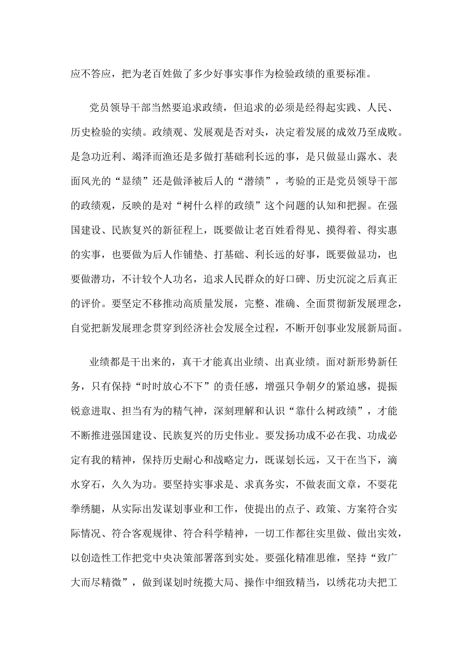 践行正确政绩观心得体会发言.docx_第2页