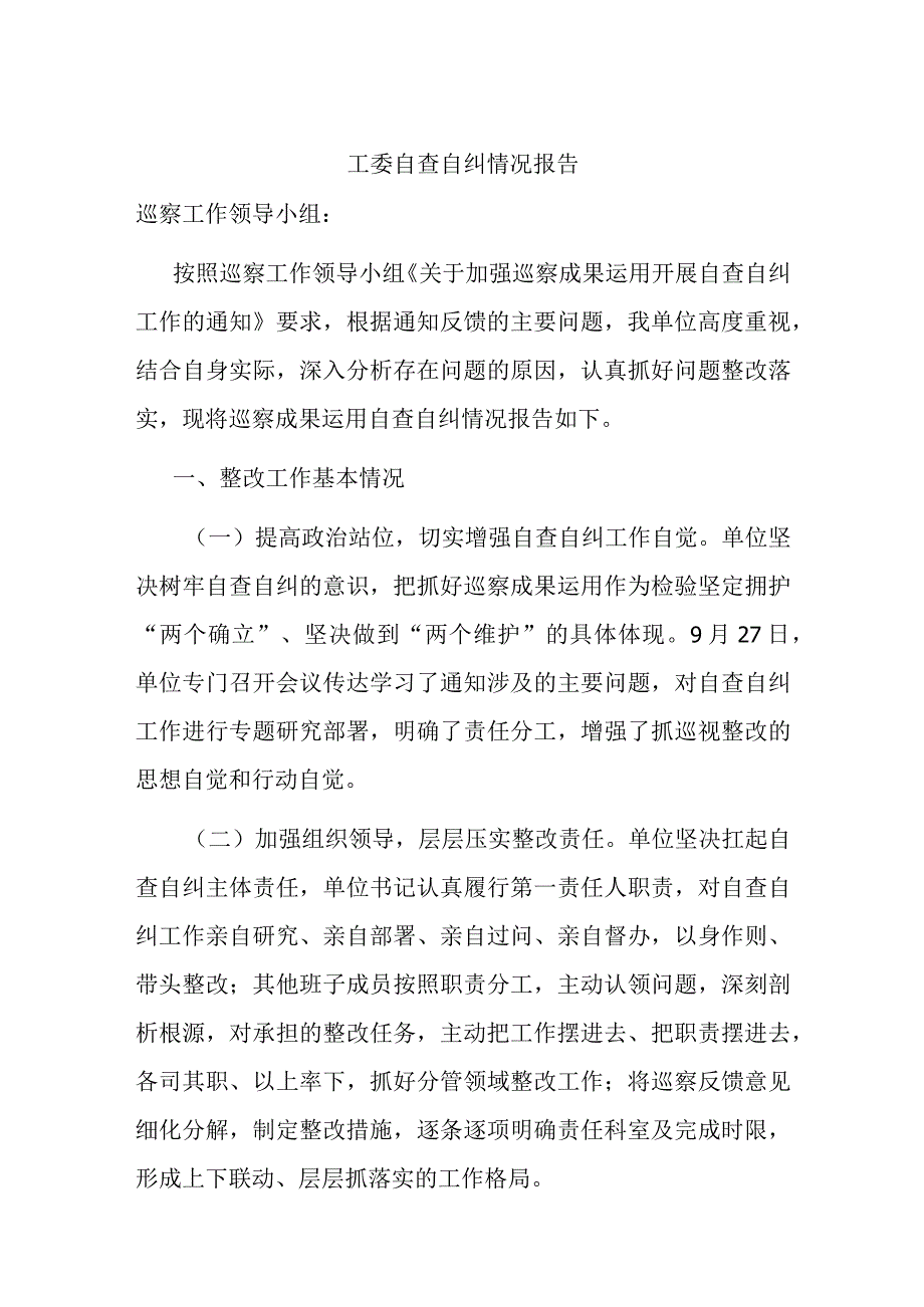 工委自查自纠情况报告.docx_第1页