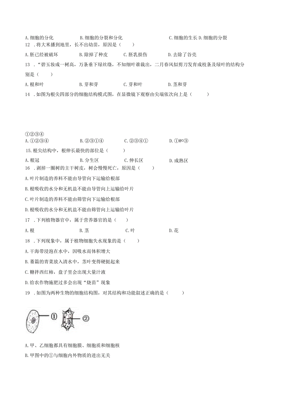 苏教版七年级上册《期中检测卷》2023年单元测试卷（附答案详解）.docx_第2页