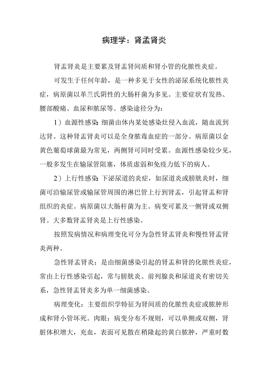 病理学：肾孟肾炎.docx_第1页